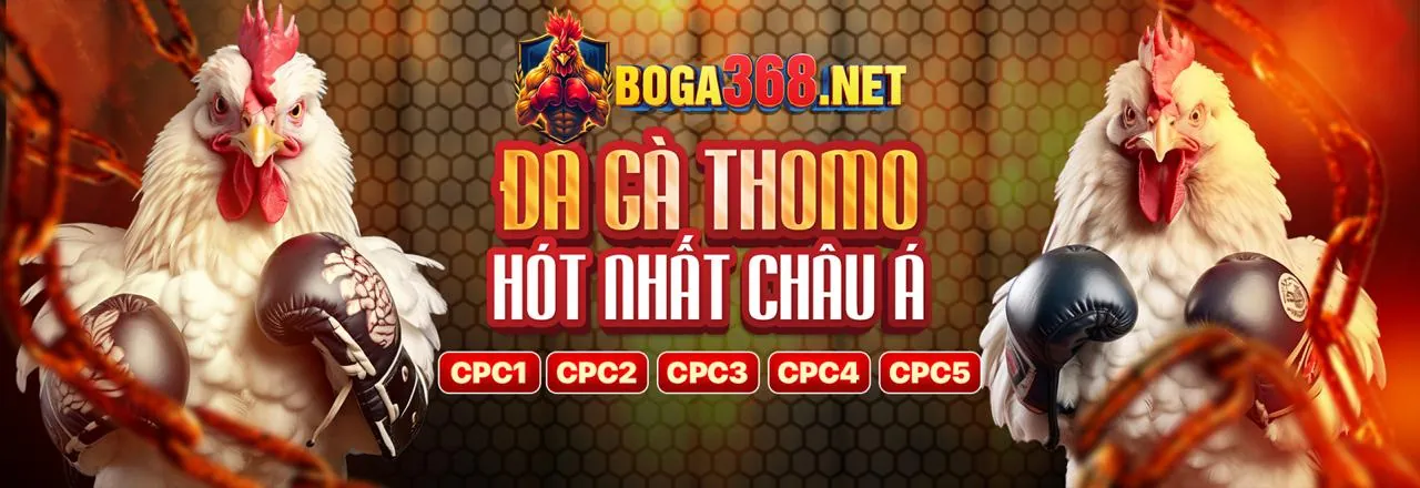 Hình ảnh đại diện luật chơi casino trực tuyến 69vn20